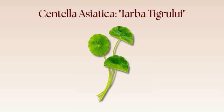 Centella Asiatica: „Iarba Tigrului” care salvează bariera cutanată