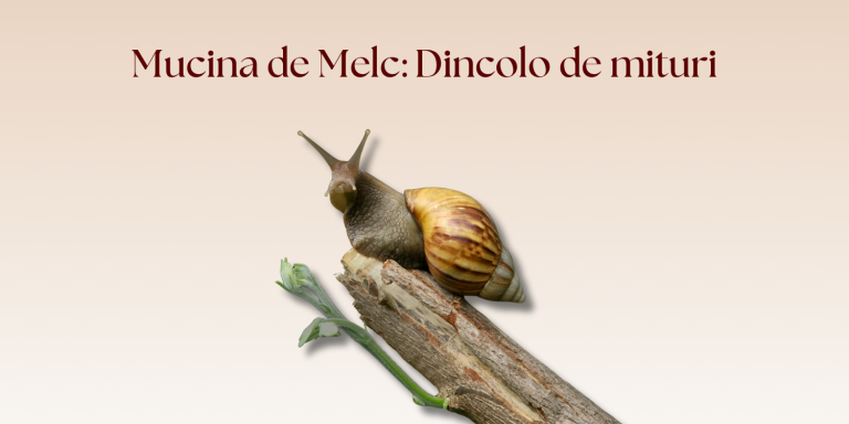 Mucina de Melc: Dincolo de mituri. Cum repară bariera cutanată și de ce este „sfântul graal” pentru hidratare?