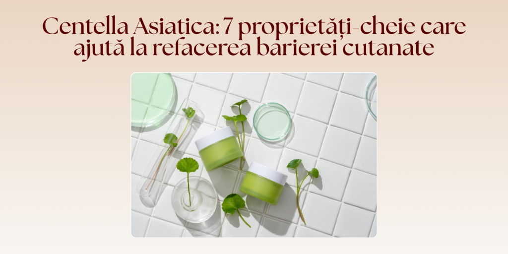 Centella Asiatica: 7 proprietăți cheie care ajută la refacerea barierei cutanate