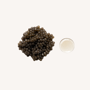 Extract de caviar